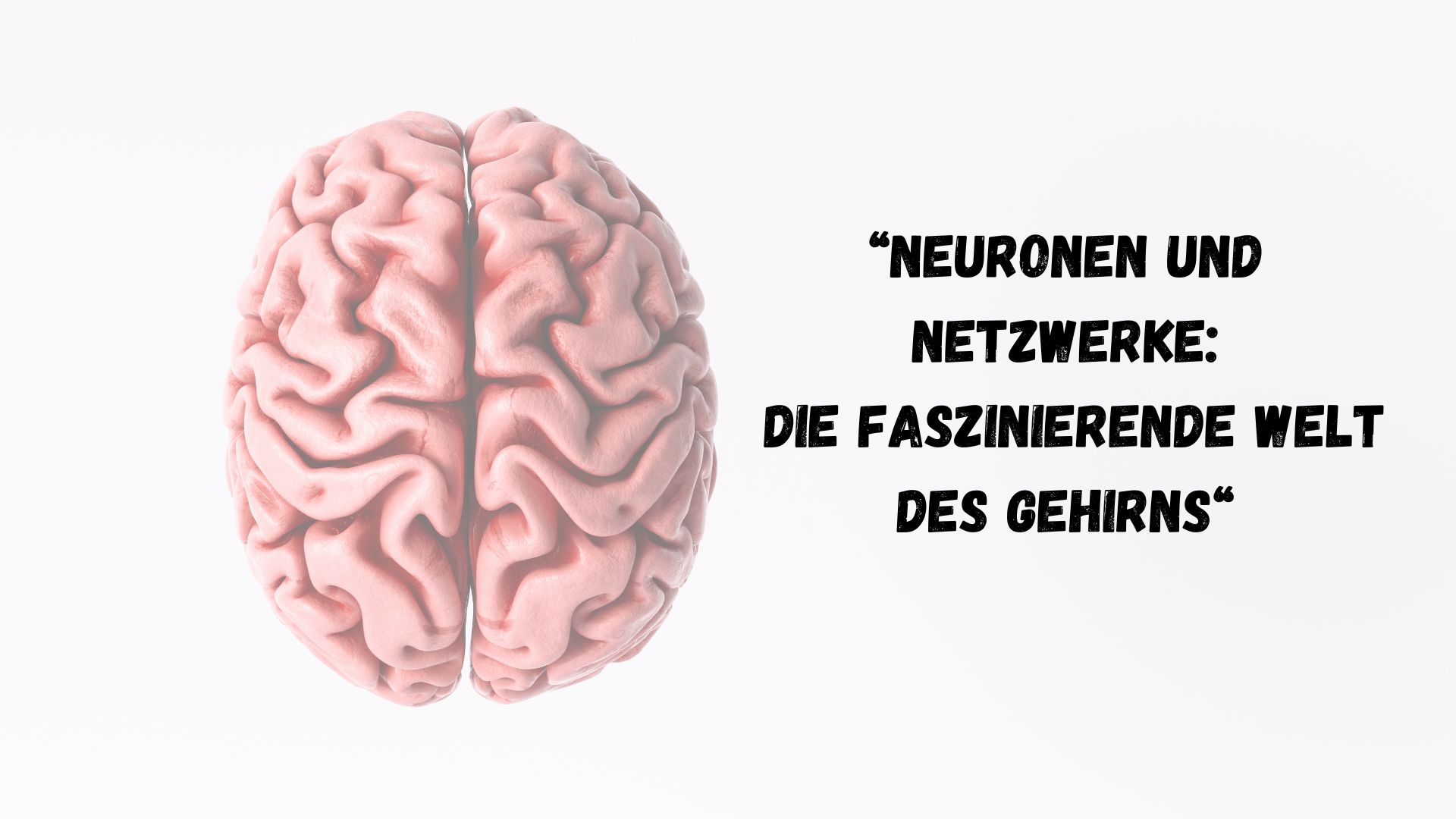 Neuronen und Netzwerke: Die fasziniernde Welt des Gehirns