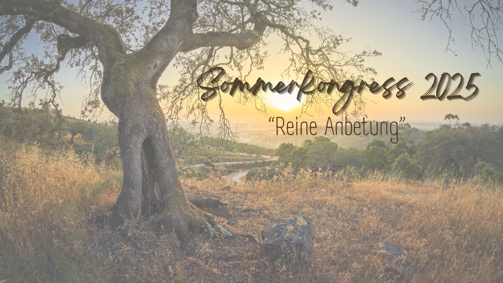 Sommerkongress 2025 – Reine Anbetung