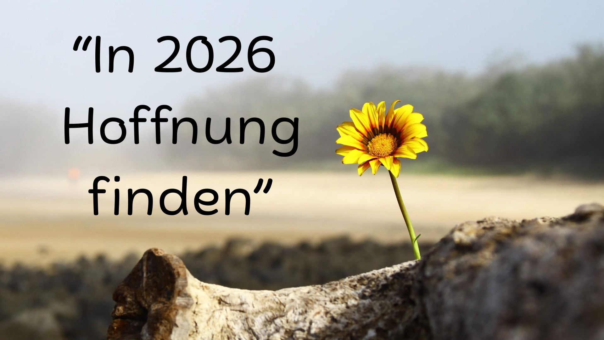 „In 2026 Hoffnung finden“